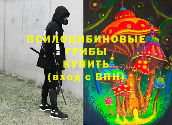 крисы Арсеньев