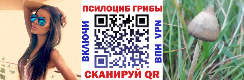 ОМГ ОМГ   Медногорск  Галлюциногенные грибы MAGIC MUSHROOMS  наркота 